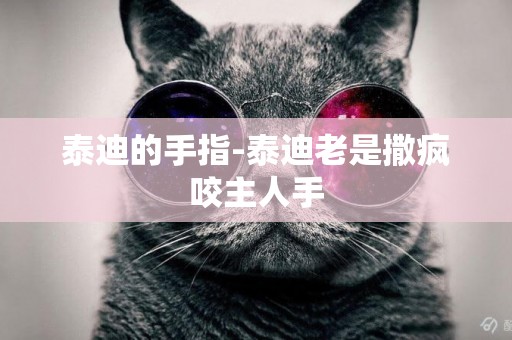泰迪的手指-泰迪老是撒瘋咬主人手