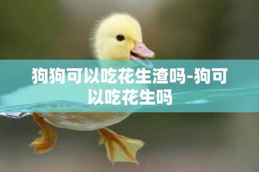 狗狗可以吃花生渣嗎-狗可以吃花生嗎