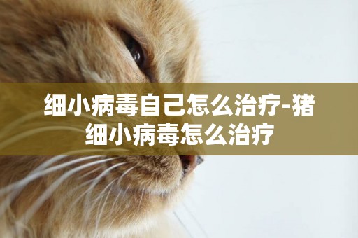 細小病毒自己怎么治療-豬細小病毒怎么治療