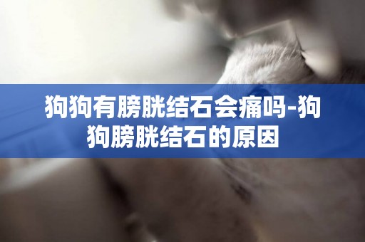 狗狗有膀胱結石會痛嗎-狗狗膀胱結石的原因