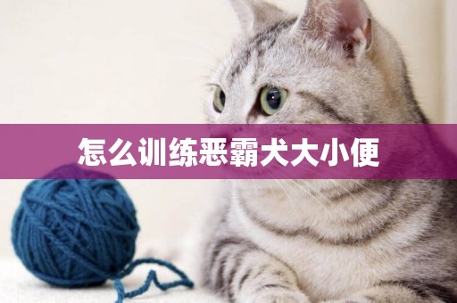 怎么訓練惡霸犬大小便