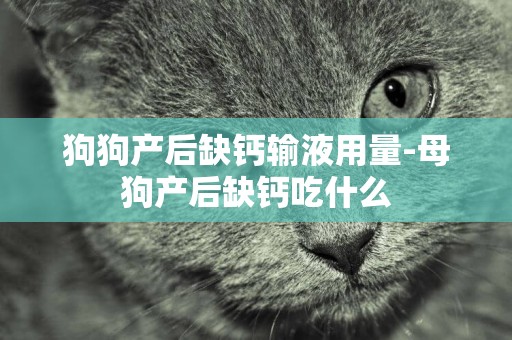 狗狗產后缺鈣輸液用量-母狗產后缺鈣吃什么