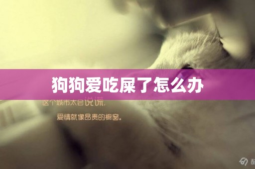狗狗愛吃屎了怎么辦