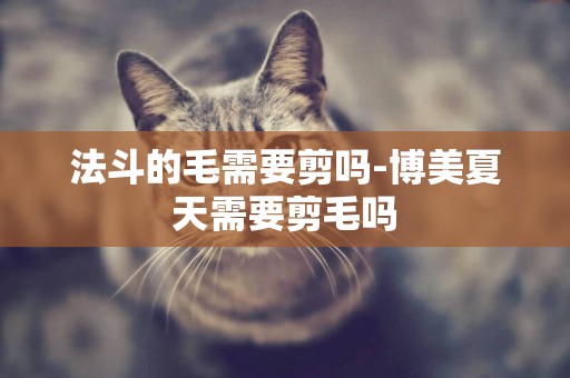 法斗的毛需要剪嗎-博美夏天需要剪毛嗎