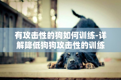 有攻擊性的狗如何訓練-詳解降低狗狗攻擊性的訓練