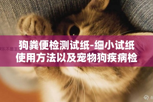 狗糞便檢測試紙-細小試紙使用方法以及寵物狗疾病檢測方法有哪些