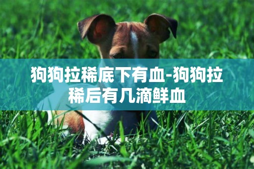 狗狗拉稀底下有血-狗狗拉稀后有幾滴鮮血