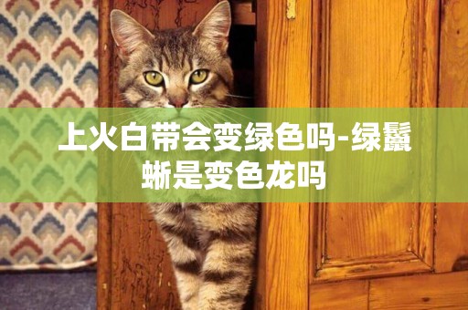 上火白帶會變綠色嗎-綠鬣蜥是變色龍嗎