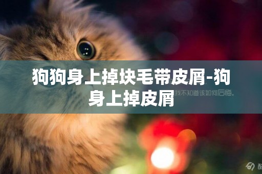 狗狗身上掉塊毛帶皮屑-狗身上掉皮屑