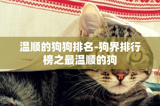 溫順的狗狗排名-狗界排行榜之最溫順的狗