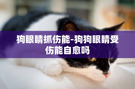 狗眼睛抓傷能-狗狗眼睛受傷能自愈嗎