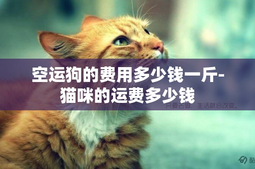 空運狗的費用多少錢一斤-貓咪的運費多少錢