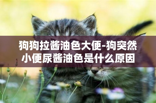 狗狗拉醬油色大便-狗突然小便尿醬油色是什么原因