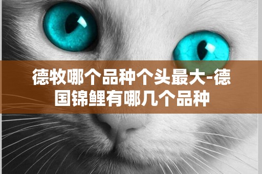 德牧哪個品種個頭最大-德國錦鯉有哪幾個品種