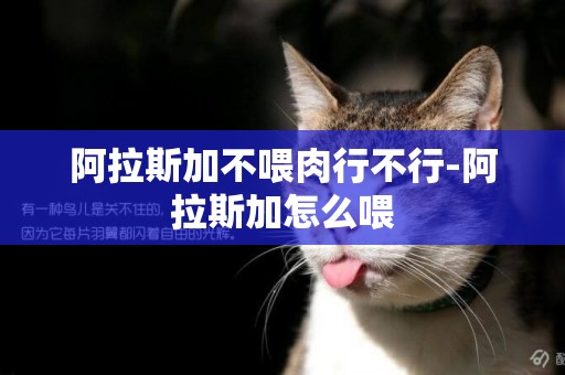 阿拉斯加不喂肉行不行-阿拉斯加怎么喂