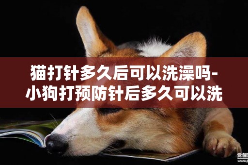 貓打針多久后可以洗澡嗎-小狗打預防針后多久可以洗澡