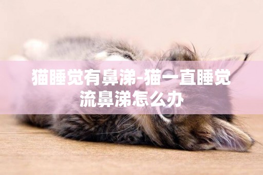 貓睡覺有鼻涕-貓一直睡覺流鼻涕怎么辦