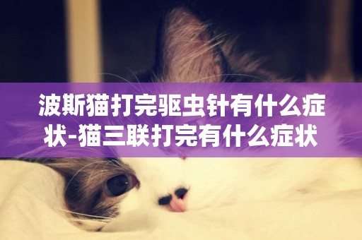 波斯貓打完驅蟲針有什么癥狀-貓三聯打完有什么癥狀