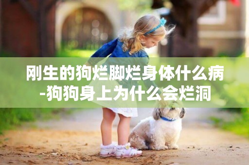 剛生的狗爛腳爛身體什么病-狗狗身上為什么會爛洞