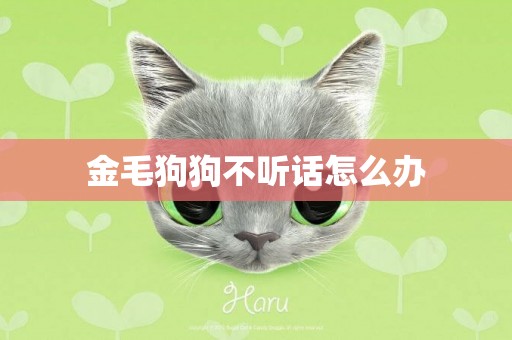 金毛狗狗不聽話怎么辦