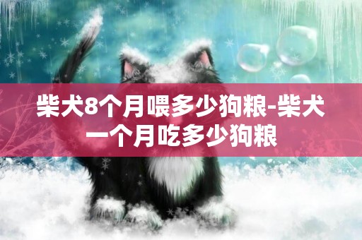 柴犬8個月喂多少狗糧-柴犬一個月吃多少狗糧