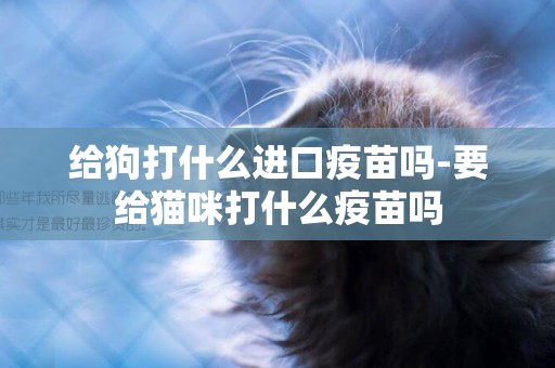 給狗打什么進口疫苗嗎-要給貓咪打什么疫苗嗎