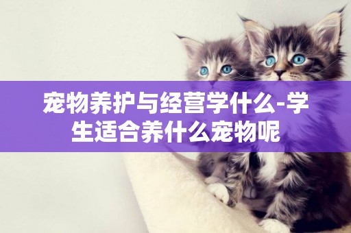 寵物養護與經營學什么-學生適合養什么寵物呢