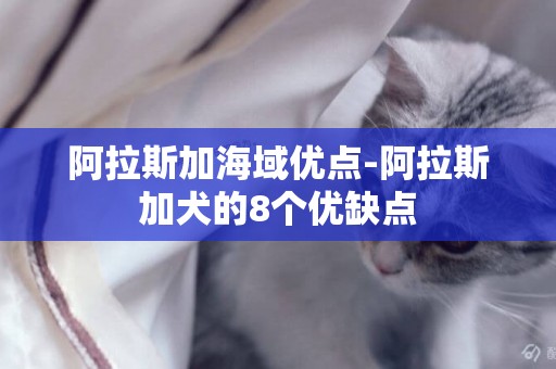 阿拉斯加海域優點-阿拉斯加犬的8個優缺點