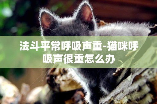 法斗平常呼吸聲重-貓咪呼吸聲很重怎么辦