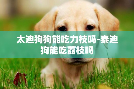 太迪狗狗能吃力枝嗎-泰迪狗能吃荔枝嗎