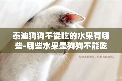 泰迪狗狗不能吃的水果有哪些-哪些水果是狗狗不能吃的