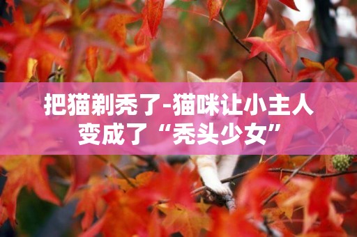 把貓剃禿了-貓咪讓小主人變成了“禿頭少女”