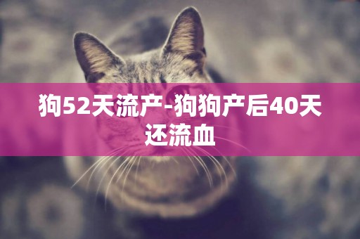 狗52天流產-狗狗產后40天還流血
