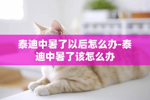 泰迪中暑了以后怎么辦-泰迪中暑了該怎么辦