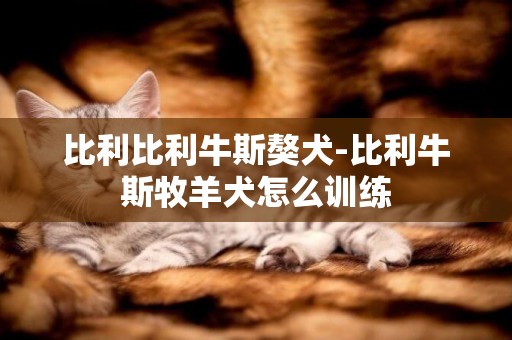 比利比利牛斯獒犬-比利牛斯牧羊犬怎么訓練