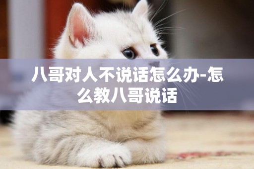 八哥對人不說話怎么辦-怎么教八哥說話