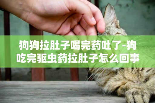 狗狗拉肚子喝完藥吐了-狗吃完驅蟲藥拉肚子怎么回事