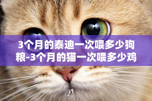 3個月的泰迪一次喂多少狗糧-3個月的貓一次喂多少雞胸肉