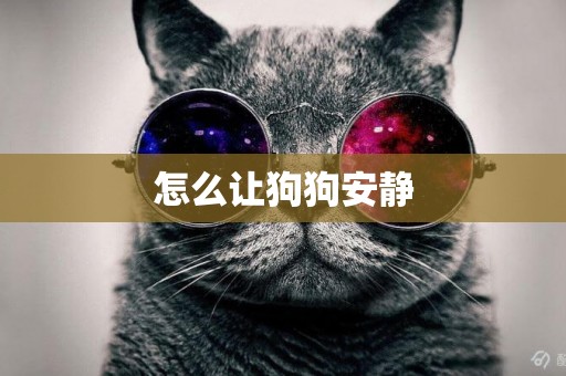 怎么讓狗狗安靜