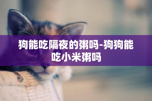 狗能吃隔夜的粥嗎-狗狗能吃小米粥嗎