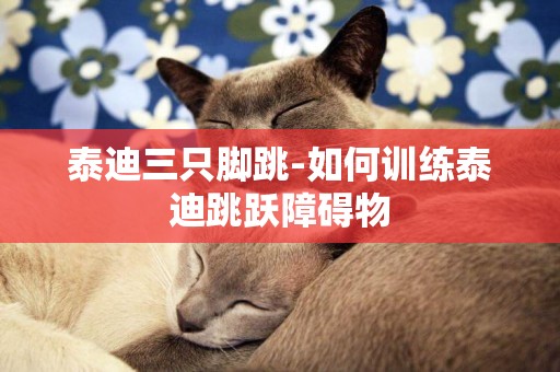 泰迪三只腳跳-如何訓練泰迪跳躍障礙物