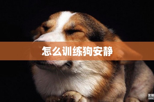 怎么訓練狗安靜