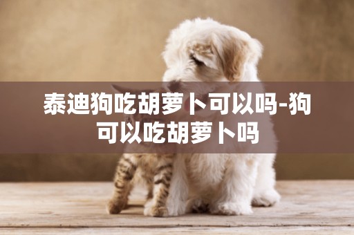 泰迪狗吃胡蘿卜可以嗎-狗可以吃胡蘿卜嗎