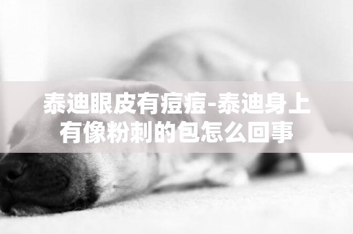 泰迪眼皮有痘痘-泰迪身上有像粉刺的包怎么回事