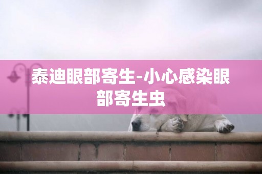 泰迪眼部寄生-小心感染眼部寄生蟲