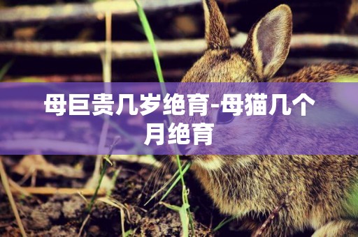 母巨貴幾歲絕育-母貓幾個月絕育