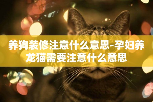 養狗裝修注意什么意思-孕婦養龍貓需要注意什么意思