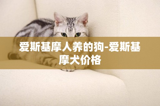 愛斯基摩人養的狗-愛斯基摩犬價格