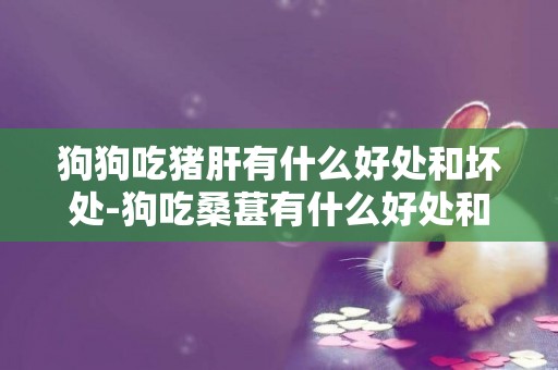 狗狗吃豬肝有什么好處和壞處-狗吃桑葚有什么好處和壞處