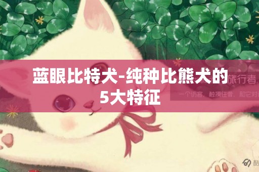 藍眼比特犬-純種比熊犬的5大特征